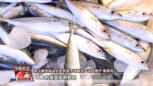 又是開漁季，走，跟著記者去趕海尋鮮