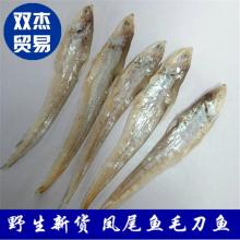 丹江口市博奧水產品有限責任公司 優質水產品供應商，專注凍銀魚與凍斑點叉尾鮰