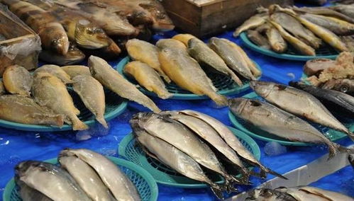 新一輪漲價潮來襲 從油價到餐桌，水產品價格牽動民生