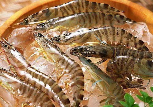 西安農貿市場全面禁售進口水產凍貨，商戶簽訂承諾書力保食品安全