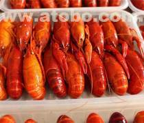 冷凍水產(chǎn)品鯧魚熱賣促銷，家庭餐桌的鮮美新選擇
