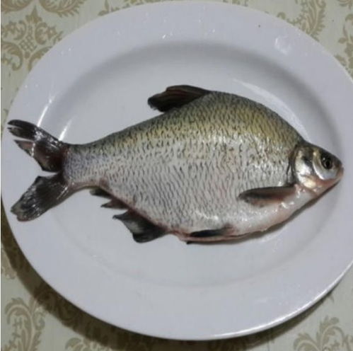 市場(chǎng)監(jiān)管總局通報(bào) 兩種水產(chǎn)品抽檢不合格，提醒消費(fèi)者注意購(gòu)買安全
