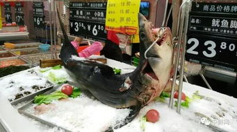 超實(shí)用的海鮮水產(chǎn)品陳列全攻略，讓魚(yú)蝦蟹成為超市吸金石