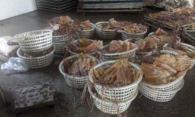 挑魚(yú)干不翻車 錦鴻品評(píng)舟山魷魚(yú)干中條的掛門必知事